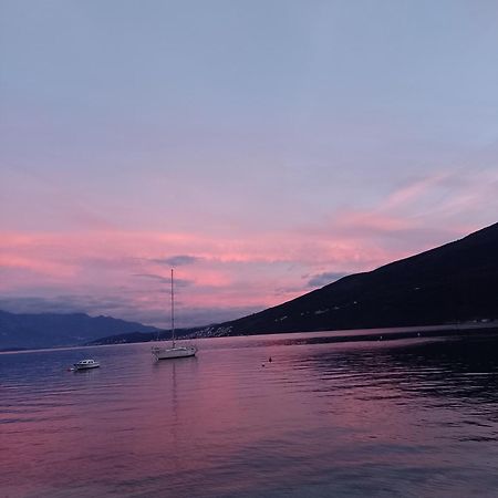 Apartman Gust Herceg Novi Dış mekan fotoğraf